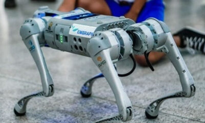 UFG desenvolve o 1º cão-robô da América Latina