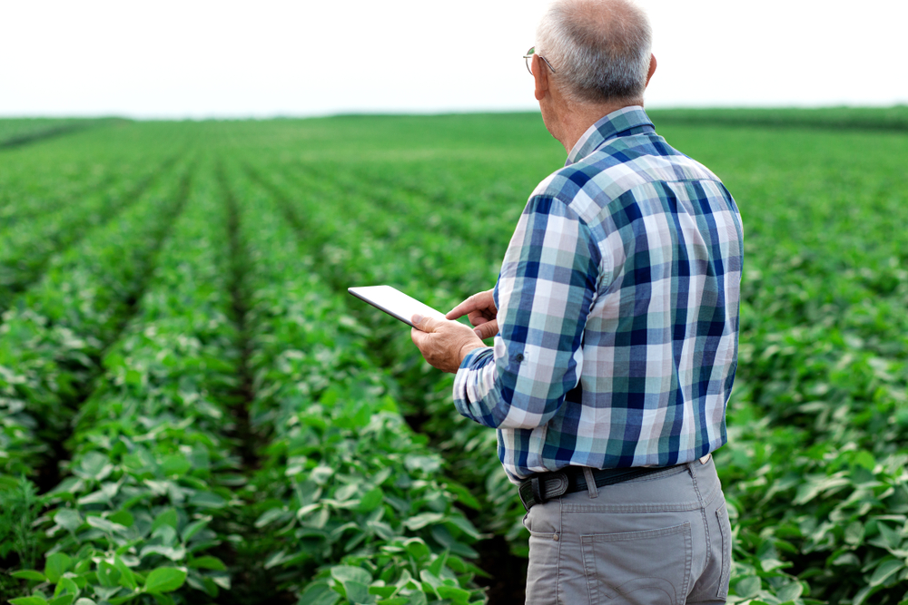 As cidades de Goiás entre as mais ricas do agronegócio