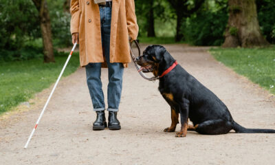 MP requer o Plano de Acessibilidade à Prefeitura de Goiânia