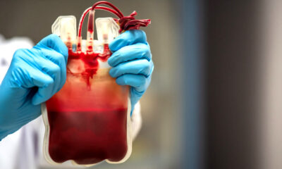 Religiosos podem rejeitar transfusão de sangue, decide o STF