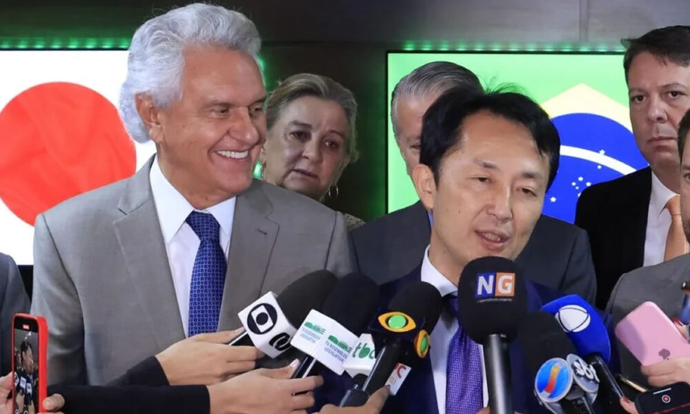 MINERAIS RAROS EM GOIÁS