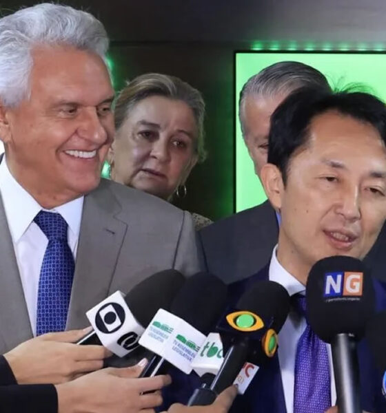 MINERAIS RAROS EM GOIÁS