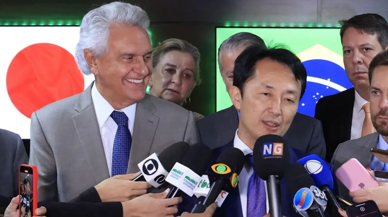 MINERAIS RAROS EM GOIÁS