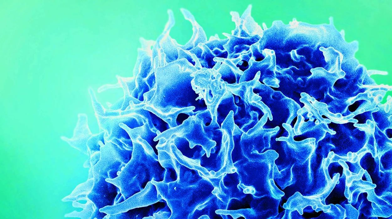 Butatan firma parceria para terapia inovadora contra o câncer